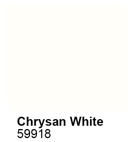 CHRYSAN WHITE